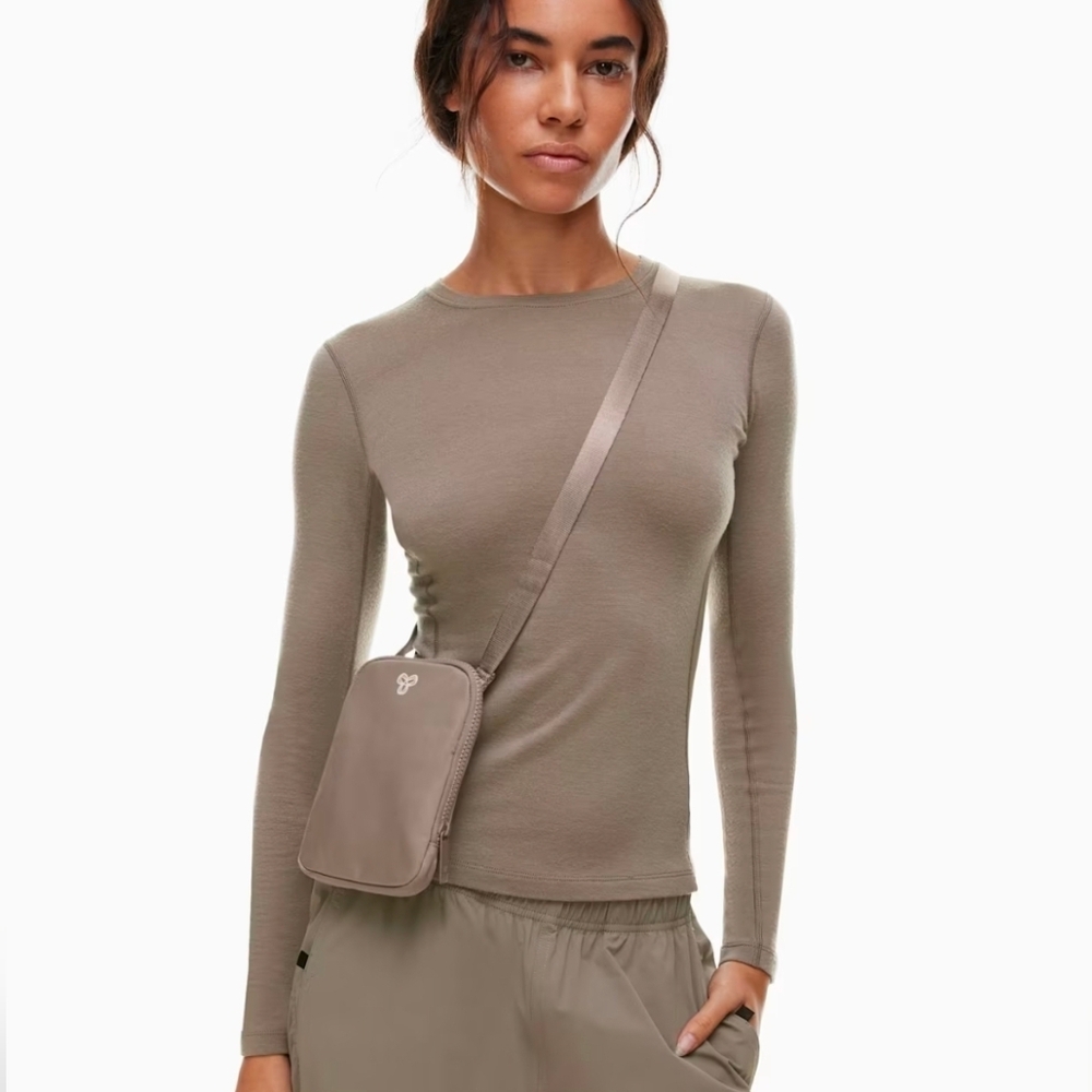 Aritzia Taupe Crossbody Bag